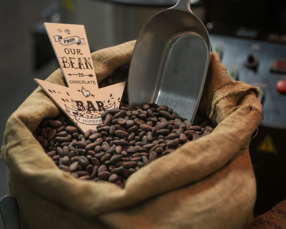 A burlap sack filled with single-origin cacao beans and a metal scoop, representing the bean-to-bar chocolate process.